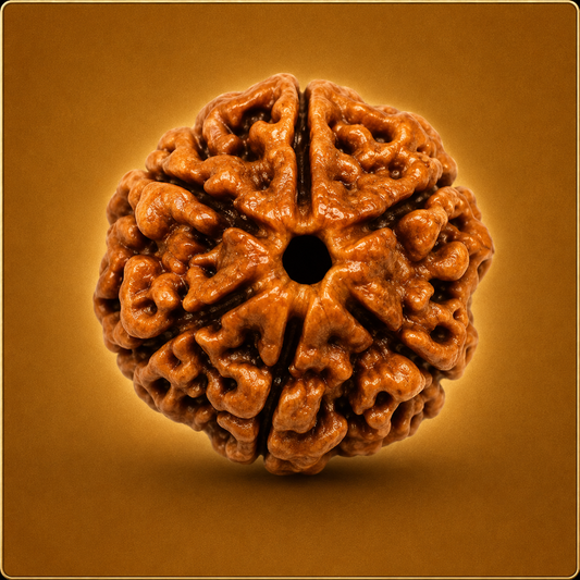 6 Mukhi Nepali Rudraksha