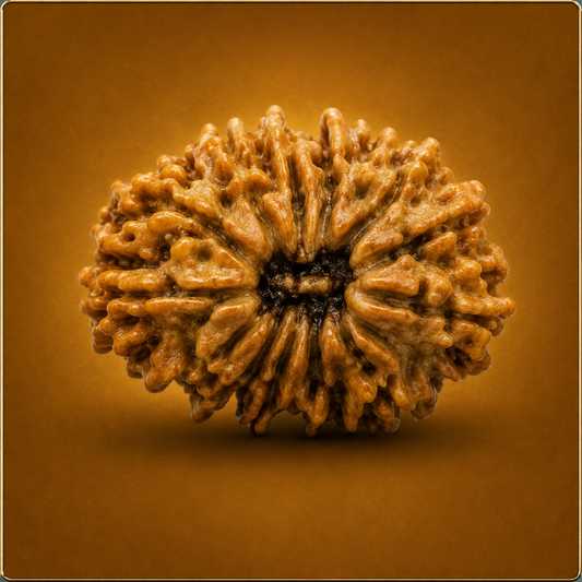 Gauri Shankar Nepali Rudraksha