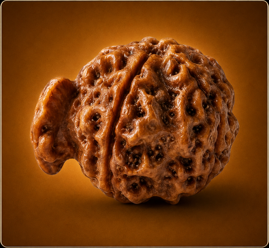 Ganesh Nepali Rudraksha